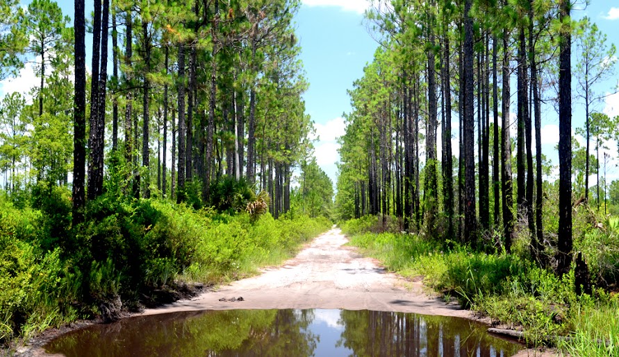 Putnam County, FL