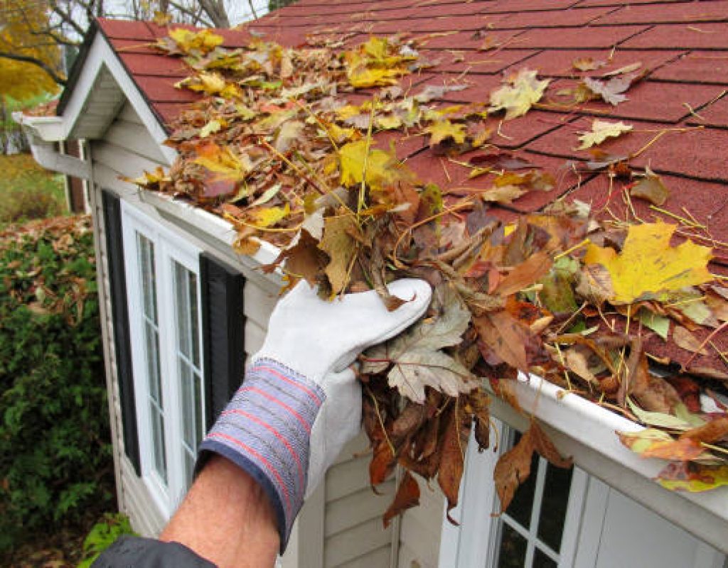 Specialist inspecting gutter system for clogs and flow obstructions carefully.