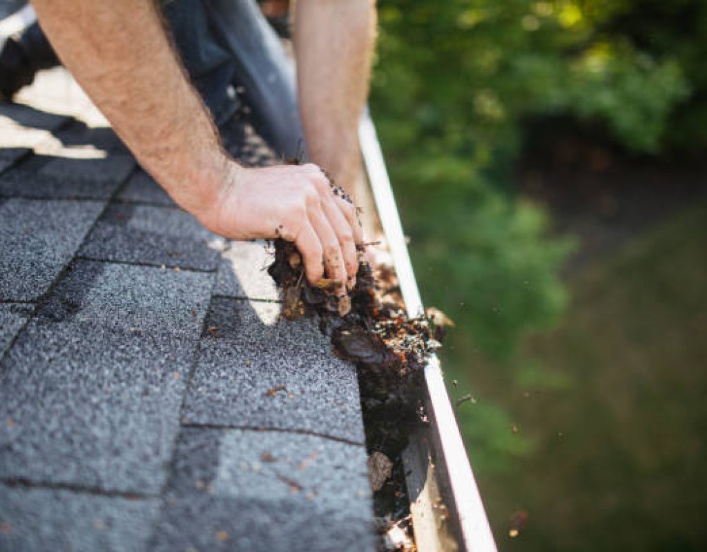 Reliable gutter cleaning expert removing debris from home gutters efficiently.