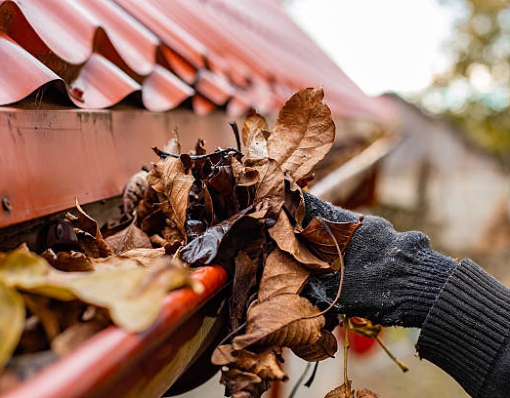 Professional team performing gutter maintenance to prevent water damage issues.