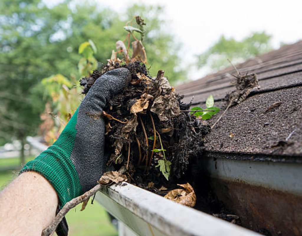 SLR Services removing leaves and buildup from gutters